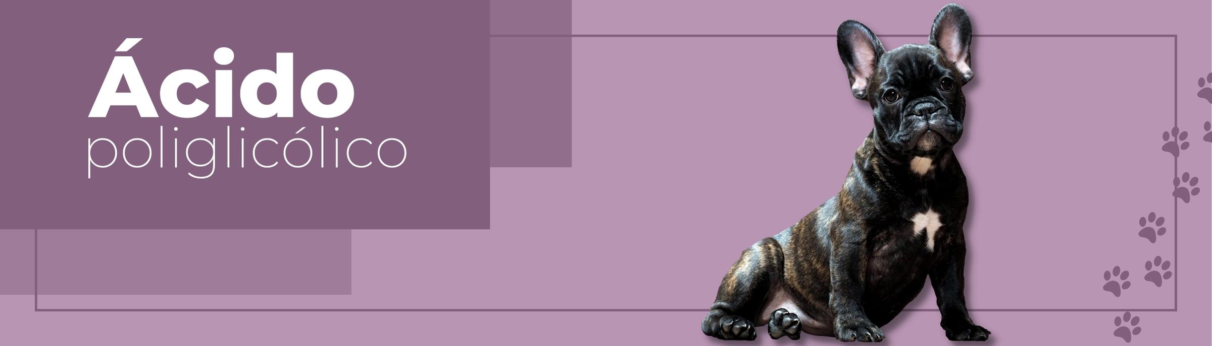 suturas veterinarias bogota, colombia. SUTUVET. suturas quirúrgicas