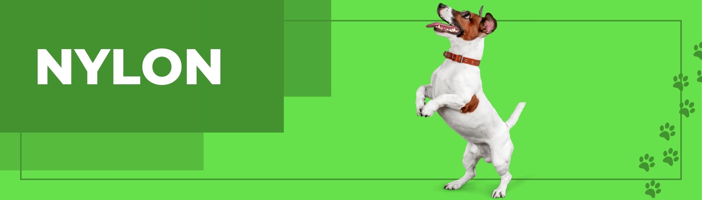 suturas veterinarias bogota, colombia. SUTUVET. suturas quirúrgicas