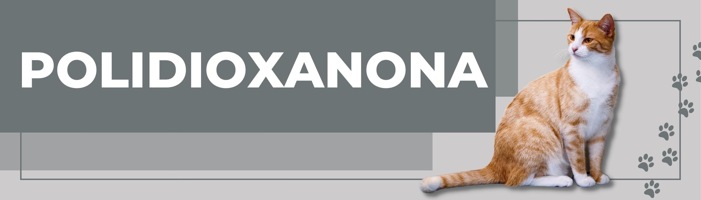 suturas veterinarias bogota, colombia. SUTUVET. suturas quirúrgicas