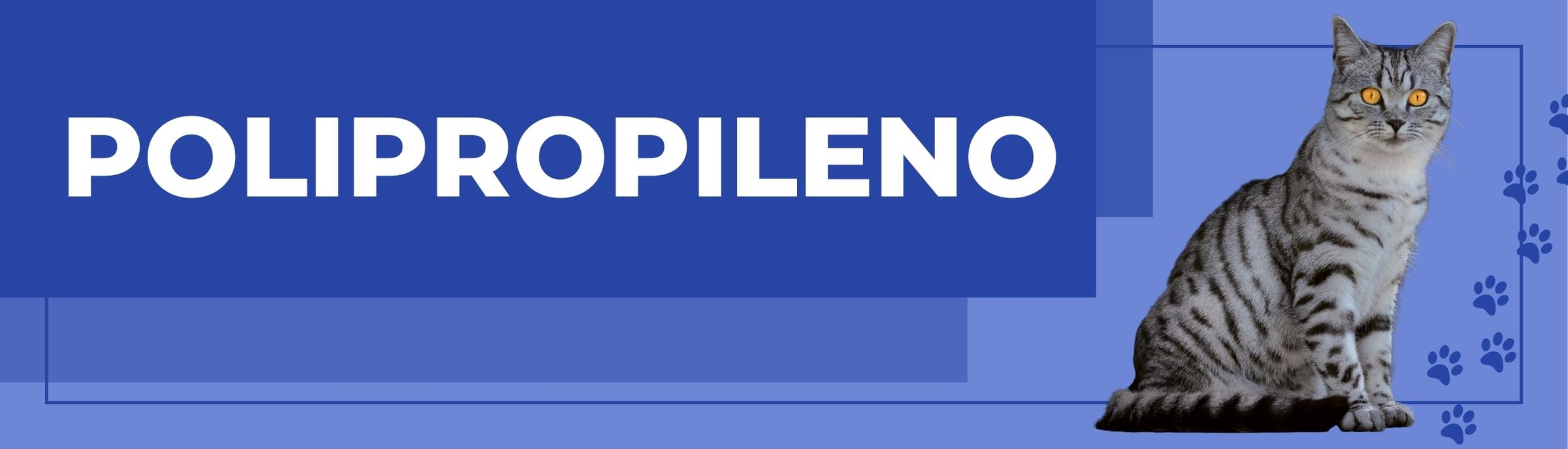 suturas veterinarias bogota, colombia. SUTUVET. suturas quirúrgicas