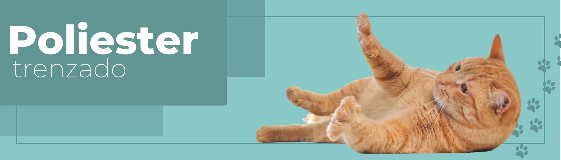 suturas veterinarias bogota, colombia. SUTUVET. suturas quirúrgicas.