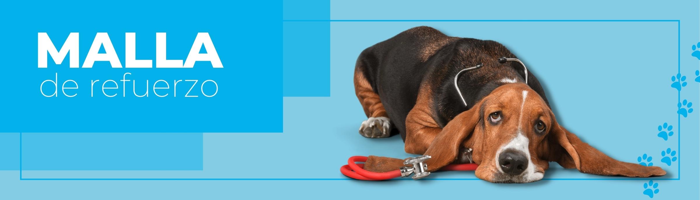 suturas veterinarias bogota, colombia. SUTUVET. suturas quirúrgicas. malla de refuerzo abdominal