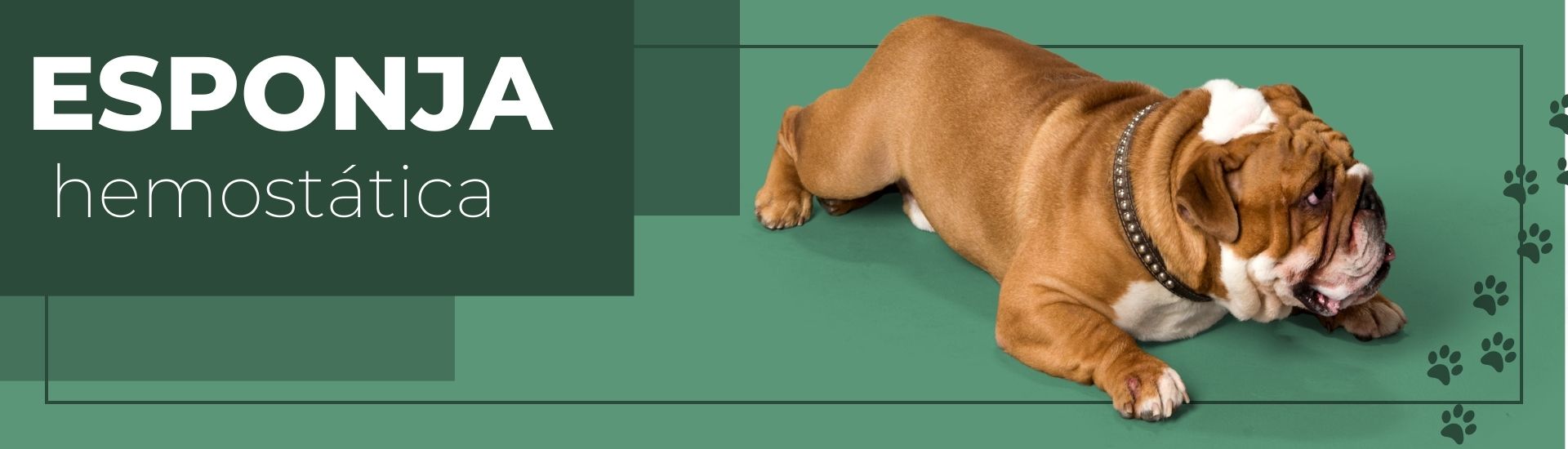 suturas veterinarias bogota, colombia. SUTUVET. suturas quirúrgicas