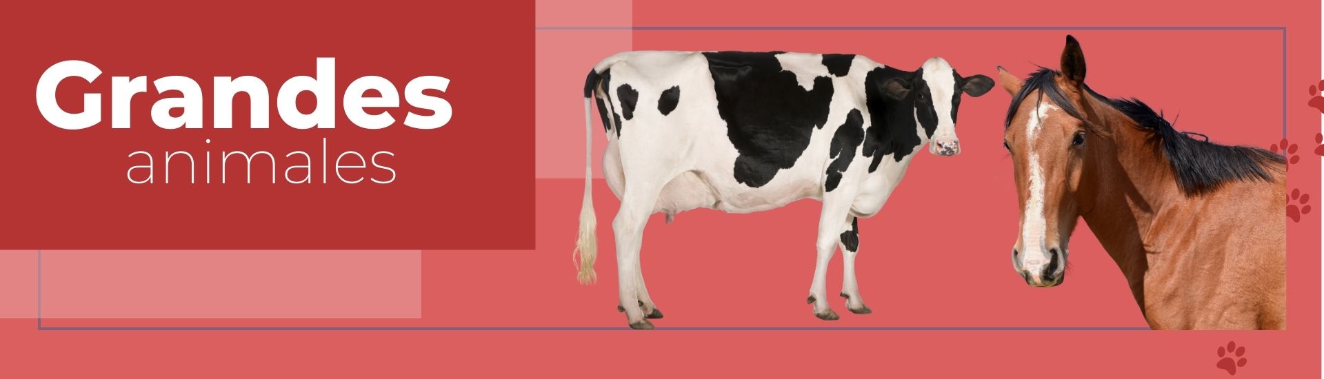 comprar sutura veterinaria sutuvet