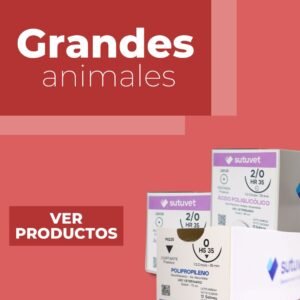 Suturas veterinarias especializadas grandes animales, caballos, vacas Colombia