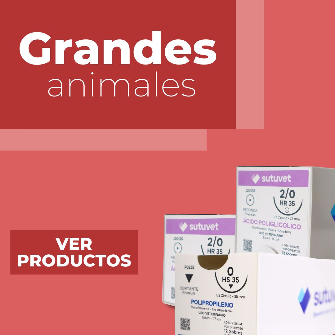 Suturas veterinarias especializadas grandes animales, caballos, vacas Colombia