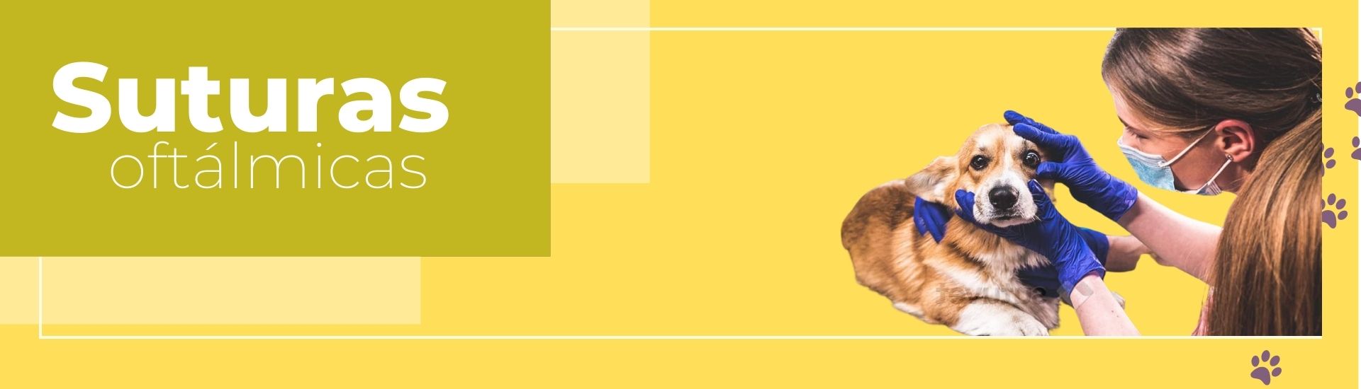 sadasa (1920 × 550 px)