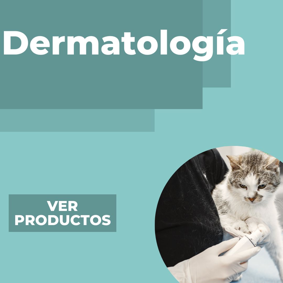 Instrumental quirúrgico veterinario Colombia