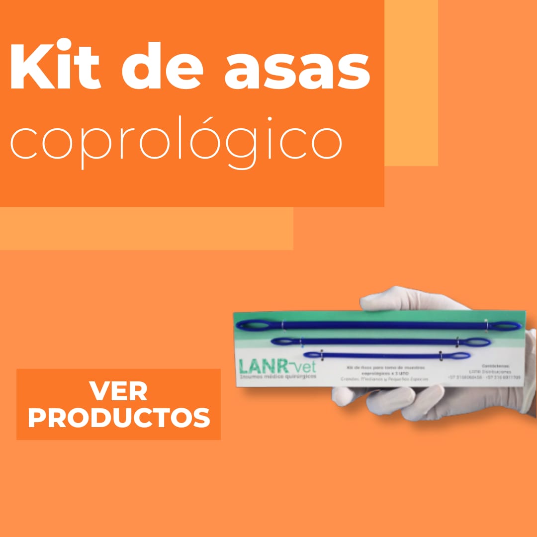 Kit de asas coprológico